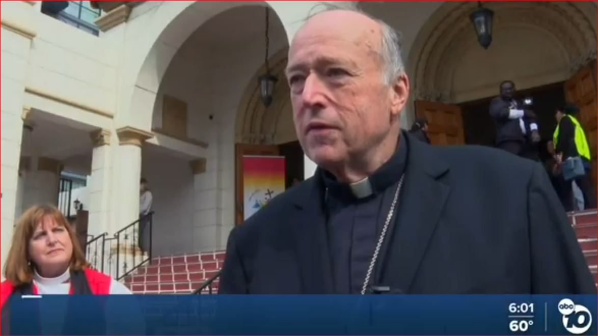 Cardinal McElroy puts on a flawed protest suggesting a 'right' to immigrate illegally