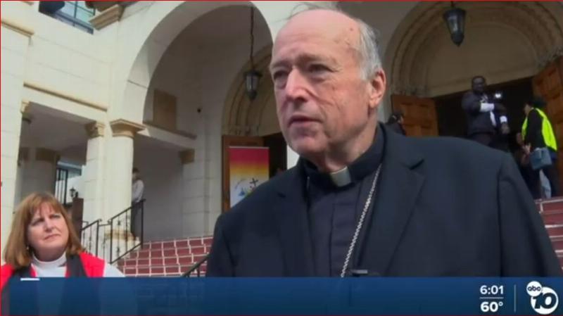 NextImg:Cardinal McElroy puts on a flawed protest suggesting a 'right' to immigrate illegally