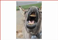 Democrats love their illegal aliens, criminals, deep staters; American citizens, not so much