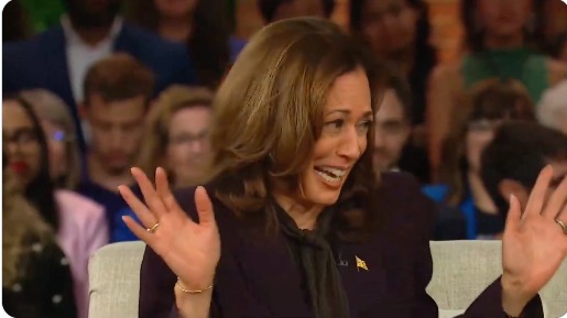 Porn-makers come out in support of Kamala Harris