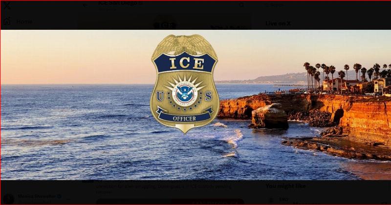 NextImg:San Diego cops see a curiously crime-free summer since the ICE raids began -report