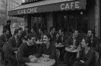 The fruits of green ideology