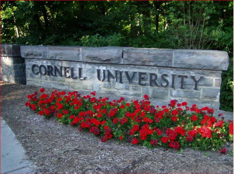 NextImg:Ivy League university webinar says science is too male, too hetero, and too fetus-centric