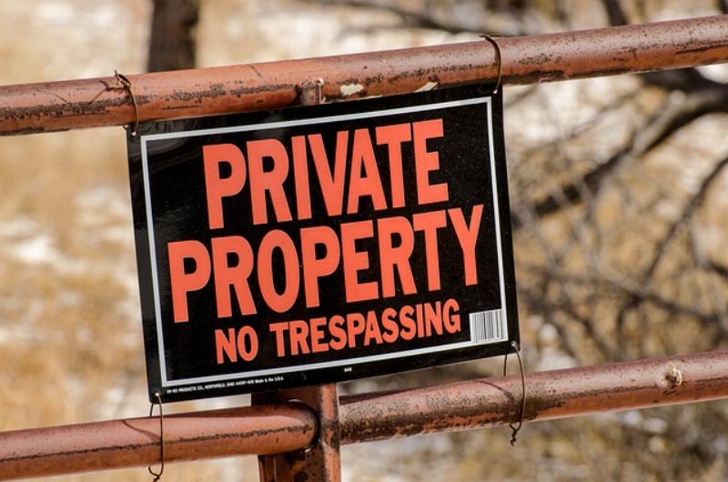 NextImg:Amidst the NY’s (violent) squatter crisis, homeowners receive some very unhelpful advice from the local media