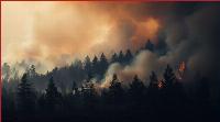 Canadian wildfires still raging: Should Americans’ anger be raging, too?