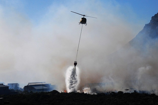 LA fires become breeding ground for ‘climate change’ propaganda