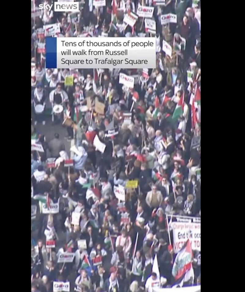 NextImg:Swastikas at pro-Hamas rally upset a Jewish woman, local Bobby tells her that the symbol needs to be ‘taken into context’