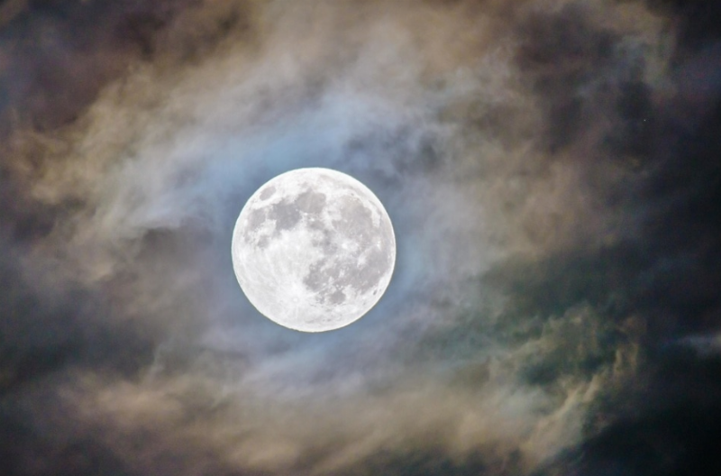 NextImg:When everybody was going to the moon