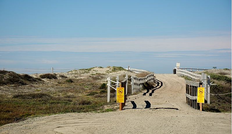 On the 4th of July weekend, San Diego's beaches are still like swimming in a Mexican toilet