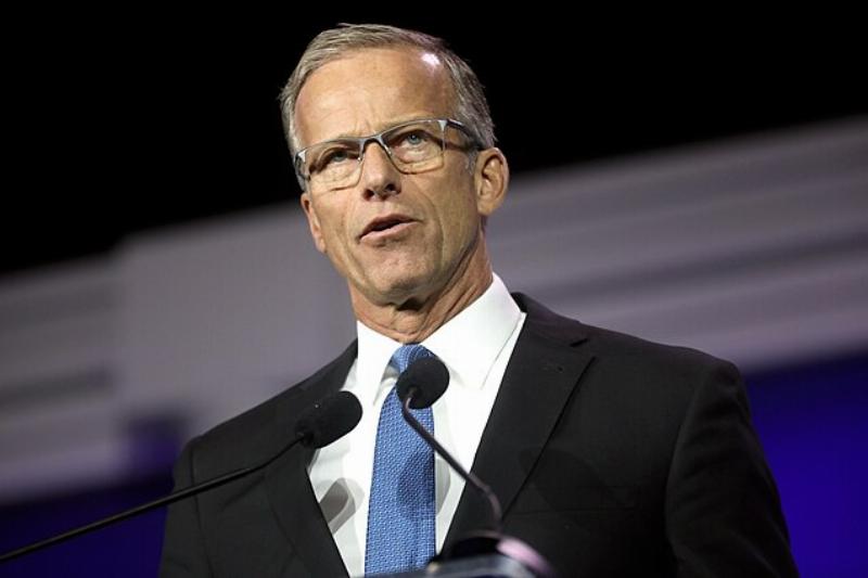 NextImg:Thune elected majority leader, RINOs emboldened? 