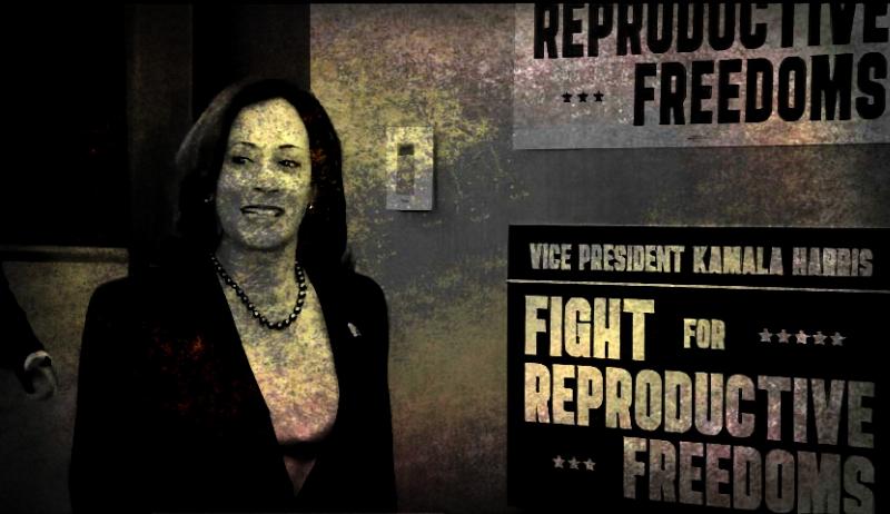 NextImg:Kamala Harris wants to end the filibuster to bring back Roe v. Wade