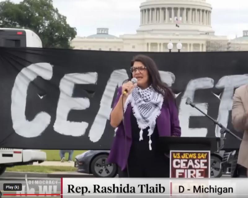 NextImg:Our Rashida Tlaib foreign policy