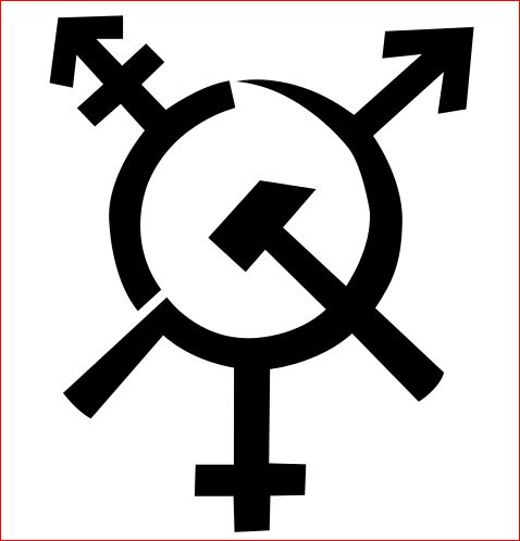 A majority of Democrats believe there are more than two sexes -poll