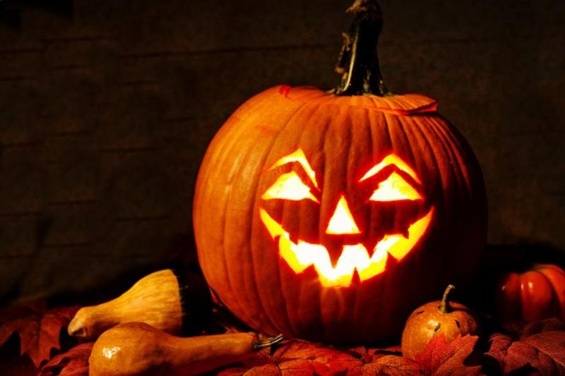 NextImg:Happy Halloween fellow ‘garbage’ people!