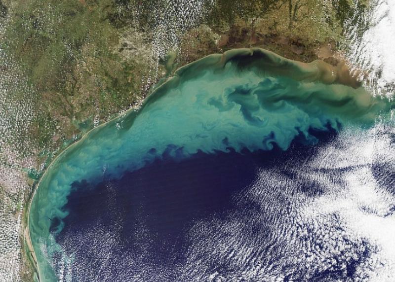 NextImg:The Gulf of America?