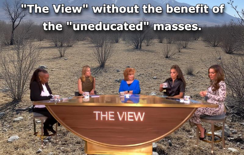 NextImg:Smug leftists who blame the ‘uneducated’ for Trump’s victory expose their ignorance