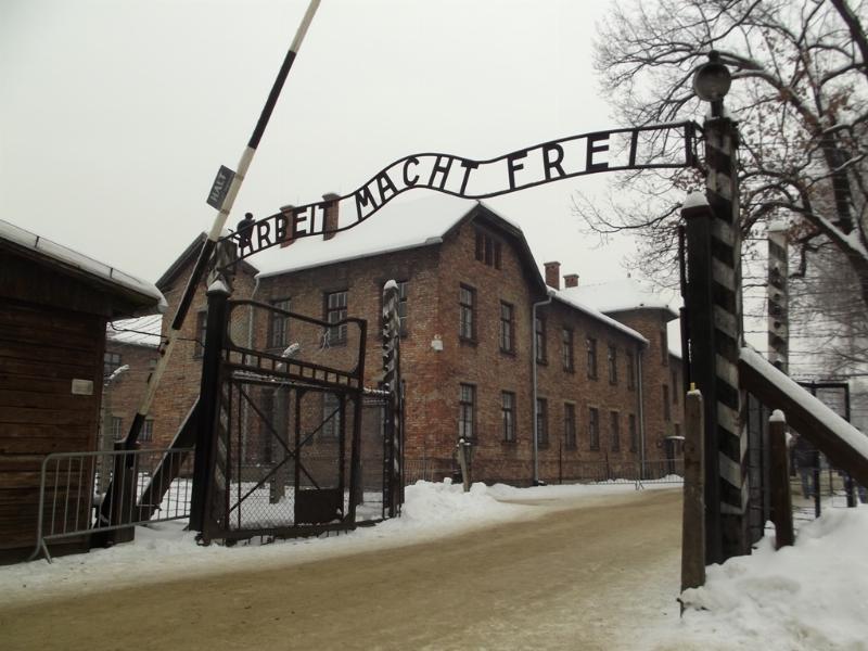 NextImg:Auschwitz’s Brutal Lesson