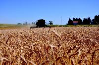 Ending Corruption in Agriculture