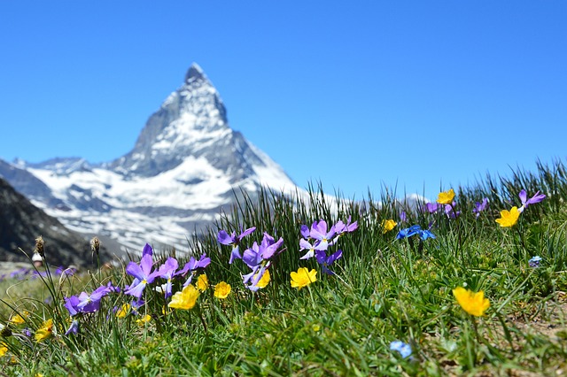 Switzerland begins covering its most iconic landscape with… solar panels