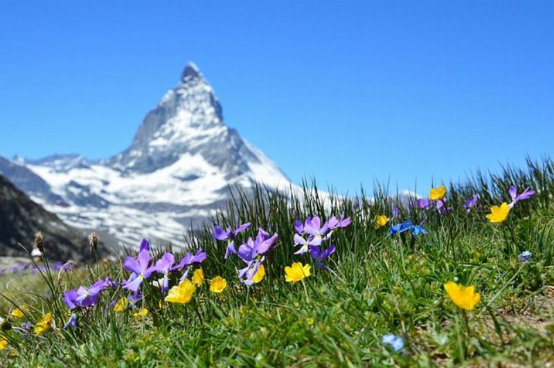 NextImg:Switzerland begins covering its most iconic landscape with… solar panels