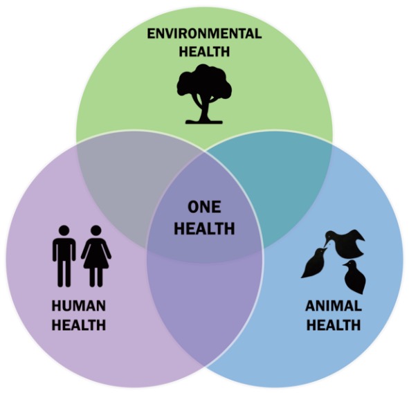 One Health: The New Godless Quasi-Religion that Ranks Humans Below Nature