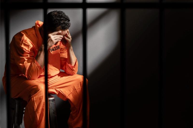 NextImg:Peter Navarro reports on government waste and abuse from within a federal prison