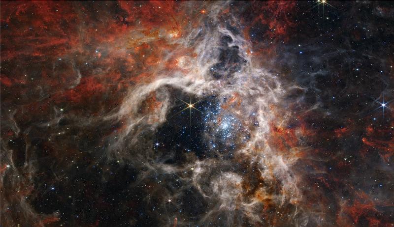 NextImg:The scientific method can move us a bit closer to God
