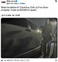 Tesla vandals and keeping the republic
