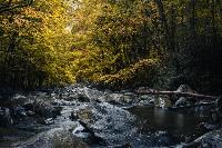 Let them wash their clothes at the creek....