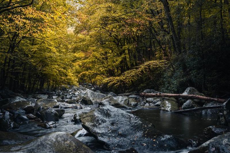 NextImg:Let them wash their clothes at the creek....