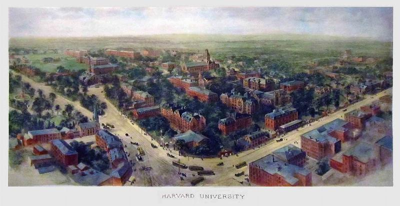 NextImg:Harvard is reverting to its norm: Antisemitism, but Trump is on the job.