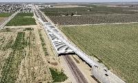 Democrats dying and dead mass people movers