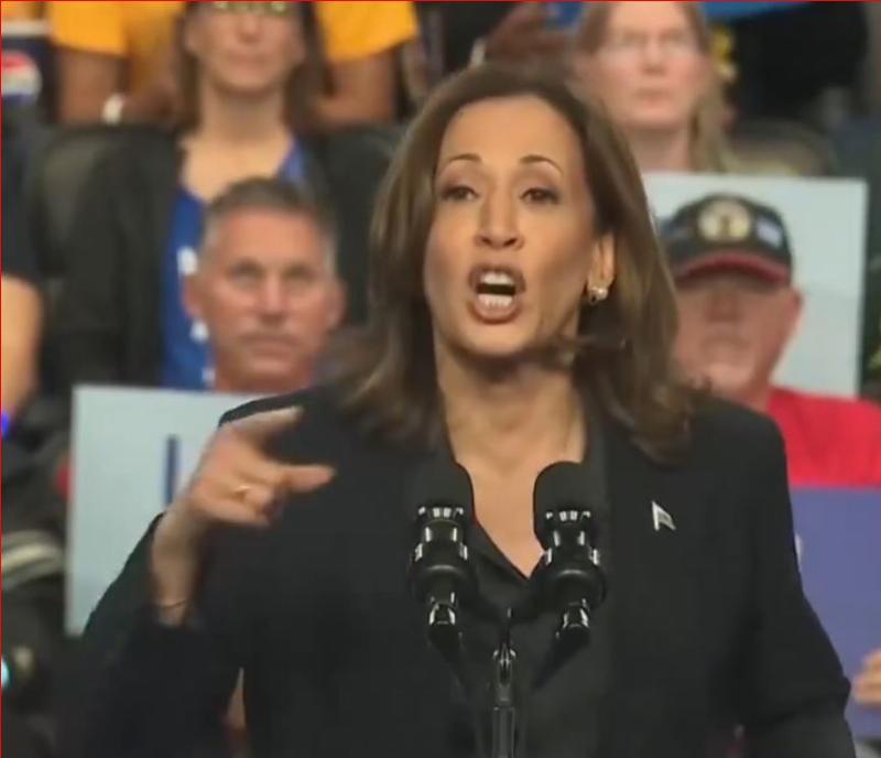 NextImg:Kamala’s 'Katrina' response is exactly how communism is supposed to work