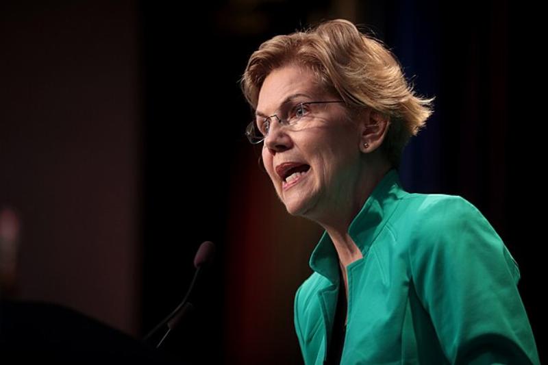 NextImg:Elizabeth Warren melts down over Pete Hegseth’s nomination to Secretary of Defense