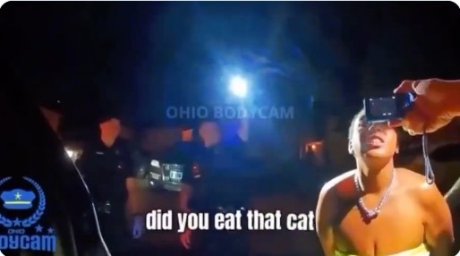 The Haitian taste for domestic pets isn’t just driven by poverty
