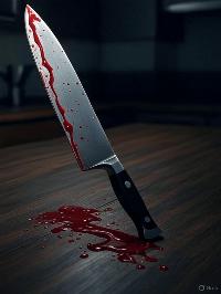 Iryna’s murder and bad judges