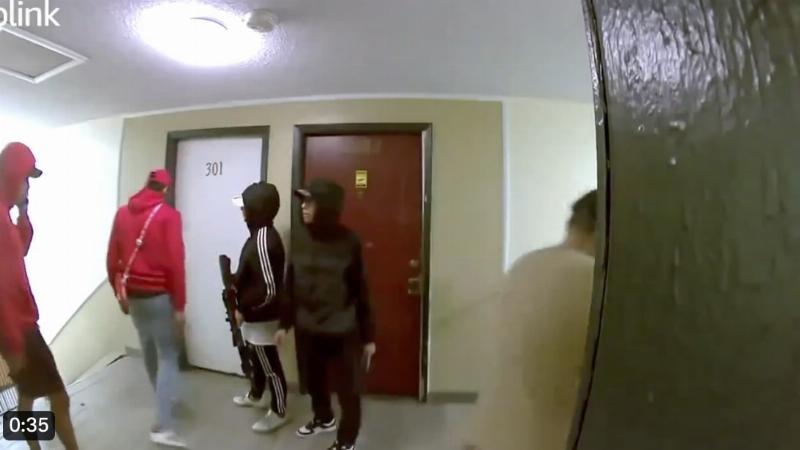 NextImg:Armed with heavy firepower, Venezuelan gang of illegals seizes control of entire apartment complex in Aurora, CO