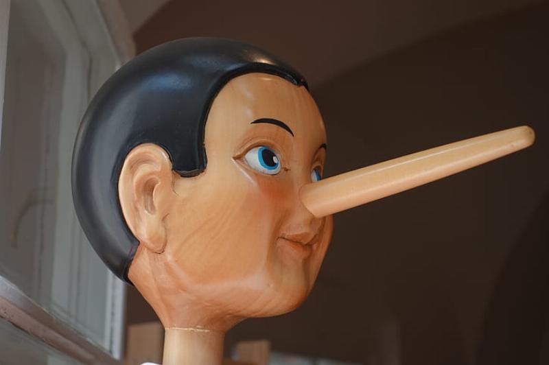 NextImg:Allan Lichtman lies his face off for Kamala Harris