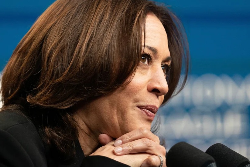 Kamala's Chances
