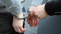 Will Trump Suspend Habeas Corpus for Illegals?
