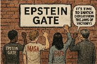 We Need Clear Heads, And A Plan, About Epstein-Gate