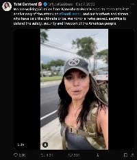 Tulsi Gabbard: domestic terrorist?