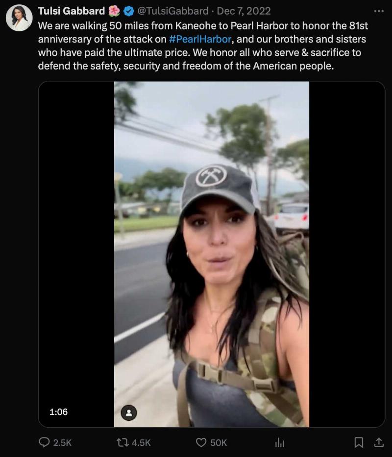 NextImg:Tulsi Gabbard: domestic terrorist?