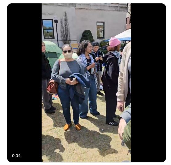 Shadow financiers of ‘spontaneous’ student campus protests