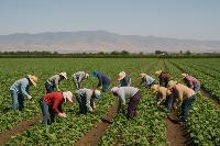 Unequal Application Of Immigration Law Is Neither Just Nor Merciful