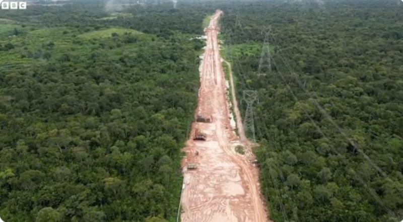 NextImg:In Brazil, they have to destroy the environment to ‘save’ it