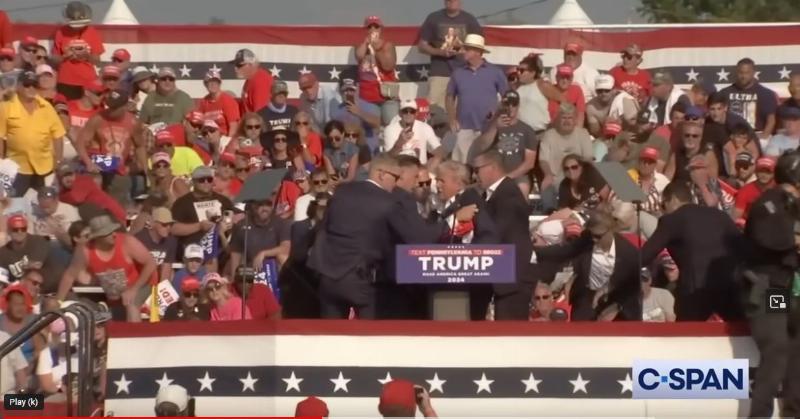 NextImg:They look just like the Keystone Kops: The DEI Secret Service in inaction