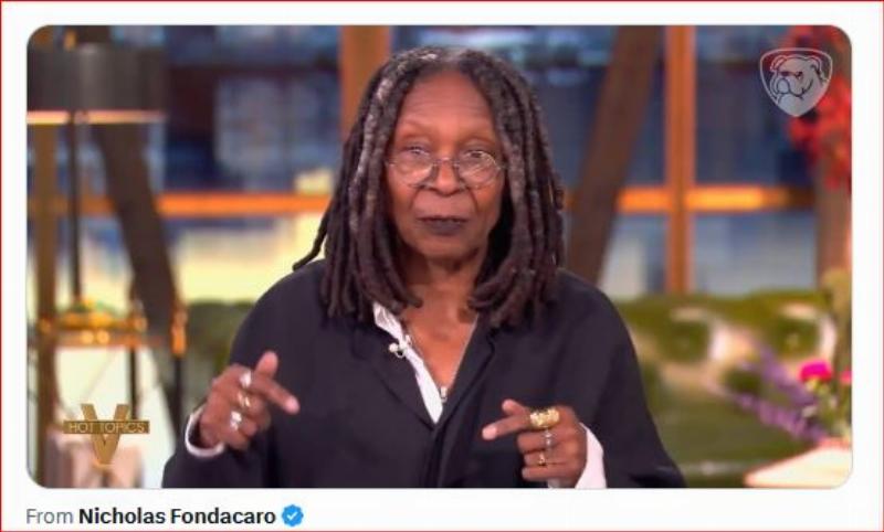 NextImg:Whoopi Goldberg calls for higher taxes to keep the government big and well fed