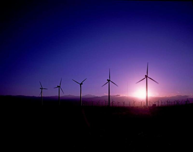NextImg:Queensland pols stumble across a sensible energy policy