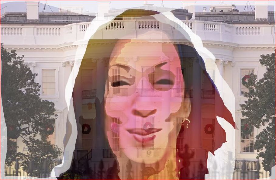 Poll finds Democrats want Kamala again in 2028